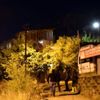 Cinnet getiren baba 3 oğlunu vurdu
