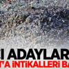 Hacı adaylarının Arafat'a intikalleri başladı