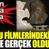 ﻿Korku filmlerindeki sahne gerçek oldu