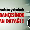 Piyasalarda gün sonu Piyasalarda gün sonu