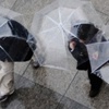 Meteoroloji'den Yağış Ve Sis Uyarısı! Meteoroloji'den Yağış Ve Sis Uyarısı!