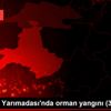 Son dakika... Hakkıbey Yarımadası nda orman yangını ... Son dakika... Hakkıbey Yarımadası nda orman yangını ...