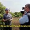 Hatfanin'de bir asker şehit oldu