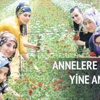 Annelere çiçekler annelerin elinden