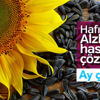 Ay çekirdeği Alzheimer’ı önlüyor Ay çekirdeği Alzheimer’ı önlüyor