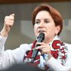 Meral Akşener'den Gaziler Günü mesajı