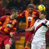 Aslan zirve aşkına!