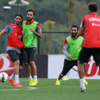 Milliler Danimarka'ya gitti Milliler Danimarka'ya gitti