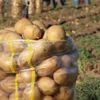 Gümrük vergisiz patates ithalatı 20 Nisan'a kadar yapılabilecek Gümrük vergisiz patates ithalatı 20 Nisan'a kadar yapılabilecek