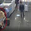 Video: Turizm kentinde yasaklar yanlış anlaşıldı sokaklar boş kaldı Video: Turizm kentinde yasaklar yanlış anlaşıldı sokaklar boş kaldı