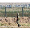 Asker sınırda kuş uçurtmuyor Asker sınırda kuş uçurtmuyor
