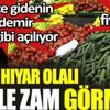 ﻿Hıyar hıyar olalı böyle zam görmedi