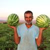 Karpuz tarlasında doğdu, karpuz yetiştiricisi oldu Karpuz tarlasında doğdu, karpuz yetiştiricisi oldu