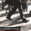 Malkara da marketten hırsızlık