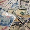 Yerlinin dolar talebi ağustosa hızlı başladı Yerlinin dolar talebi ağustosa hızlı başladı