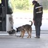 Otobüste bomba olduğu ihbarı asılsız çıktı Otobüste bomba olduğu ihbarı asılsız çıktı
