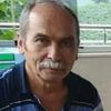 Kestiği ağacın altında kalarak hayatını kaybetti Kestiği ağacın altında kalarak hayatını kaybetti