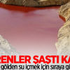 Kırmızı gölden su içmek için sıraya giriyorlar Kırmızı gölden su içmek için sıraya giriyorlar