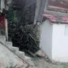 Yılan yerine ablasını vurdu Yılan yerine ablasını vurdu