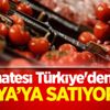 Domatesi Türkiye'den alıp Rusya’ya satıyorlar Domatesi Türkiye'den alıp Rusya’ya satıyorlar