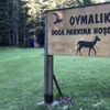 Yaylada kene sessizliği Yaylada kene sessizliği