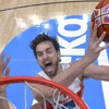 Gasol coştu, İspanya finale çıktı