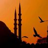 Kim bilir nerede bir çocuk açtır Kim bilir nerede bir çocuk açtır
