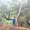 Rüzgâr katliamı Rüzgâr katliamı