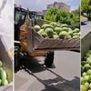 Karpuzcunun feryadı: Hiç mi vicdanınız yok!