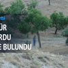 Kayıp taksici ağaçta asılı bulundu Kayıp taksici ağaçta asılı bulundu