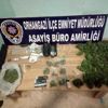 Bursa da 283 kök Hint keneviri ele geçirildi Bursa da 283 kök Hint keneviri ele geçirildi