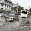 İzmir sele teslim oldu İzmir sele teslim oldu