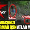 Siz arkadaşınızı kurtarmak için atlar mısınız Siz arkadaşınızı kurtarmak için atlar mısınız