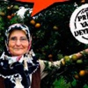 TARSİM'den Tarım Sigortası çağrısı TARSİM'den Tarım Sigortası çağrısı