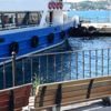 Denizde can pazarı Denizde can pazarı