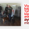 Avusturya yolcularına köpekli arama