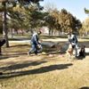 Kısıtlamada aç kalan sokak hayvanlarını HAYDİ ihbarıyla ...