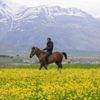 Düğün çiçekleri kartpostallık görüntüler oluşturdu