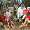 Yırca’ya TBB fidanı Yırca’ya TBB fidanı