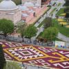 Sultanahmet'e 1453 metrekarelik lale halı