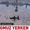 SİHA teröristleri yaban domuzu yerken vurdu