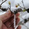 Meteoroloji'den buzlanma, çığ ve zirai don uyarısı