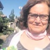 Çitlembik Amerika'da Çitlembik Amerika'da