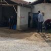 Süt sağmak isterken öldü
