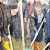 Yalova'da 200 çınar fidanı dikildi Yalova'da 200 çınar fidanı dikildi