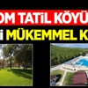 Rizom Tatil Köyü’nden tatili mükemmel Rizom Tatil Köyü’nden tatili mükemmel