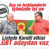 HDP, LGBT aday göstermedi