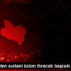 Alaşehir den sultani üzüm ihracatı başladı