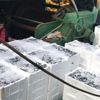 Hamsi bollaştı balık fiyatları düştü Hamsi bollaştı balık fiyatları düştü
