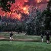 Dünya, golfçülerin bu duyarsızlığını konuşuyor